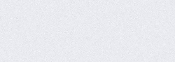 4251